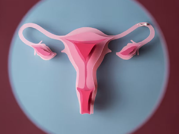 Non infectious vaginitis or VULVOVAGINITIS: Causes, Symptoms and Treatment